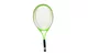 Tenis ziemny