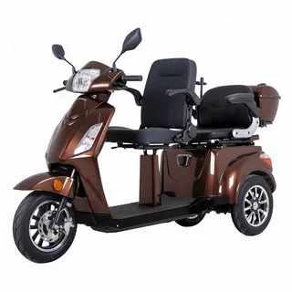 Trójkołowy wózek elektryczny inSPORTline Zorica Duo ∙ dwumiejscowy ∙ 1000 W ∙ zasięg do 40 km ∙ 25 km/h ∙ nośność 285 kg - Brązowy