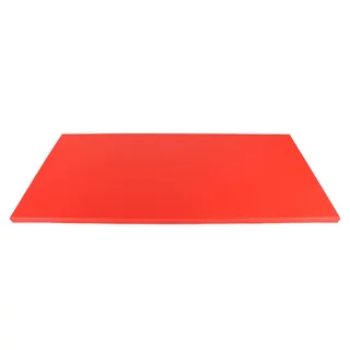 Mata do sportów walki tatami inSPORTline Taishan 200x100x5 cm ∙ antypoślizgowa  ∙ redukcja wibracji ∙ waga 26 kg ∙ skórzana