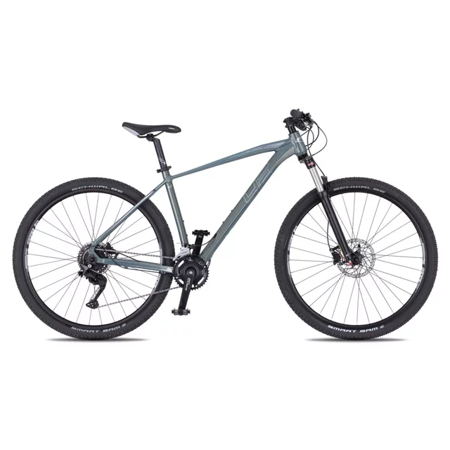 Rower górski 4EVER FRONTBEE 29'' ∙ widelec amortyzowany SR Suntour z blokadą ∙ hamulce tarczowe Shimano ∙ 18 biegów ∙ waga 14 kg - perłowy czarny/zielony - mglisty/srebrny