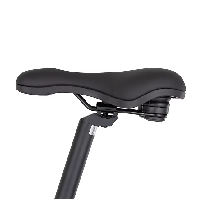 Miejski rower elektryczny inSPORTline ISL Eclion 648 Wh 28" - model 2026 ∙ bateria 648 Wh ∙ zasięg do 120 km ∙ amortyzowany widelec ∙ nośność 120 kg - Deep Coffee