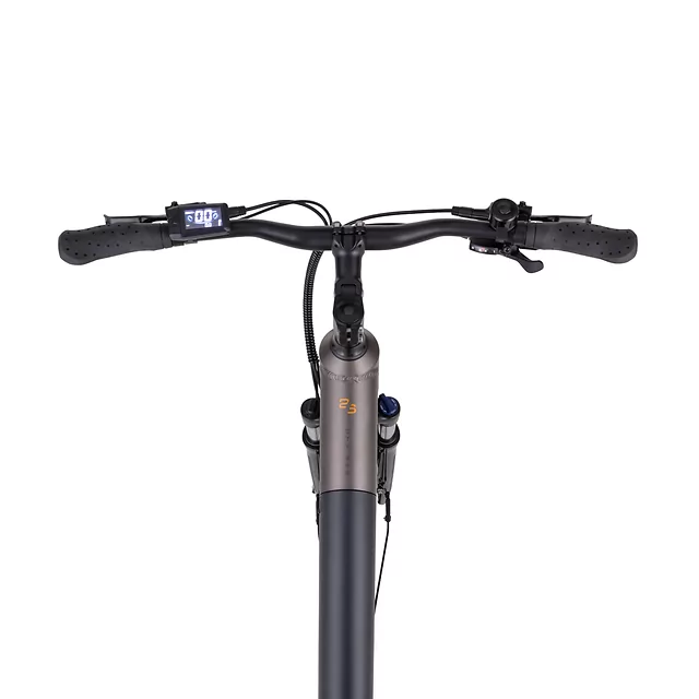 Miejski rower elektryczny inSPORTline ISL Eclion 648 Wh 28" - model 2026 ∙ bateria 648 Wh ∙ zasięg do 120 km ∙ amortyzowany widelec ∙ nośność 120 kg - Deep Coffee