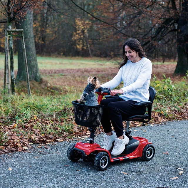 Wózek elektryczny czterokołowy inSPORTline Omis ∙ silnik 180 W ∙ prędkość 6 km/h ∙ zasięg 20 km ∙ 120 kg