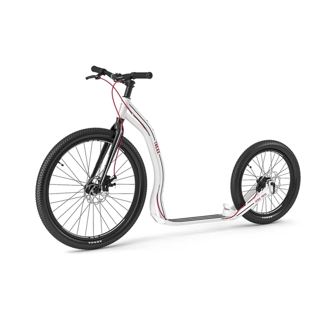 Hulajnoga Yedoo Trexx Disc 26/20" - Czarny