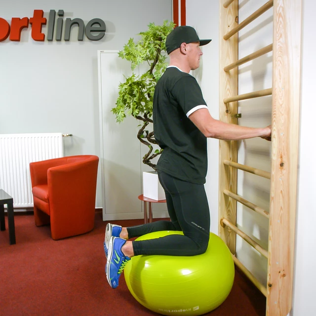 Drabinka gimnastyczna inSPORTline Shapemar 220x90 cm ∙ 12 szczebli ∙ nośność 130 kg ∙ drewno bukowe ∙ podwójnie lakierowana