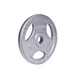 Obciążenia żeliwne inSPORTline Hamerton 30 mm 1,25-25 kg ∙ powłoka antykorozyjna ∙ uchwyty ergonomiczne ∙ trwała konstrukcja