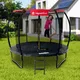Trampolina z pełnym wyposażeniem inSPORTline Flea PRO 244 cm - OUTLET