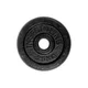 Obciążenie żeliwne inSPORTline CastCzech 30 mm 0,5-20 kg