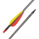 Strzały do łuku karbonowe inSPORTline Carbison ∙ spine 400 ∙ 29 g/strzała ∙ wymienne groty ∙ 10 szt.