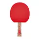 Rakietka do tenisa stołowego inSPORTline Shootfair S4 ∙ ofensywna ∙ wklęsły uchwyt ∙ 5-warstwowe drewno ∙ guma ITTF 1,8 mm ∙ prędkość 80