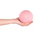 Piłka do jogi inSPORTline Yoga Ball 1 kg ∙ wzmacniająco-stabilizacyjna ∙ do pilates, jogi, rehabilitacji