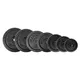 Zestaw obciążeń żeliwnych inSPORTline CastCzech ∙ 2x 0,5-20 kg ∙ 30 mm ∙ 108,5 kg