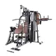 Wielostanowiskowy atlas inSPORTline Profigym C300 ∙ wyciągi górny/dolny + prasa do nóg ∙ 2×60 kg stos