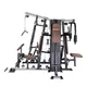 Wielostanowiskowy atlas inSPORTline Profigym C300 ∙ wyciągi górny/dolny + prasa do nóg ∙ 2×60 kg stos