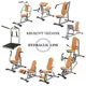 Maszyna wzmacniająca tułów / brzuch Hydraulicline CEO200 inSPORTline ∙ 6 poziomów oporu ∙ nośność 120 kg ∙ rama stalowa