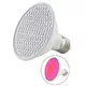 Żarówka LED inSPORTline 6W czerwone i niebieskie światło
