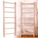Drabinka gimnastyczna inSPORTline Steadyline 220x80 cm